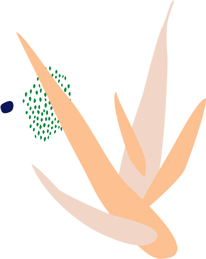 Aloe Vera - Construction Paper Clipart (960x1180), Png Download