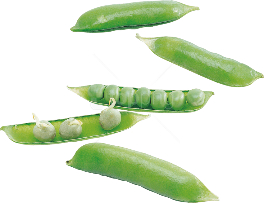 Free Png Pea Png Images Transparent - Snap Pea Clipart (850x655), Png Download