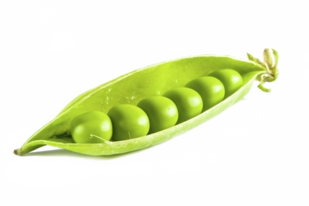 Pea Png Background Image - Imagen De Peas Clipart (1077x720), Png Download