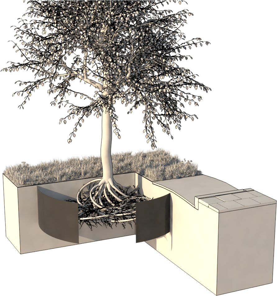Ribs Prevent The Roots From Growing Within The Cylinder - Bonsai Clipart (1000x1000), Png Download