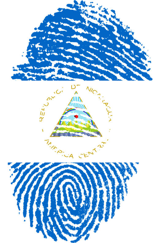Imágenes De La Bandera De Nicaragua Para Colorear - Uae Flag Fingerprint Clipart (500x791), Png Download