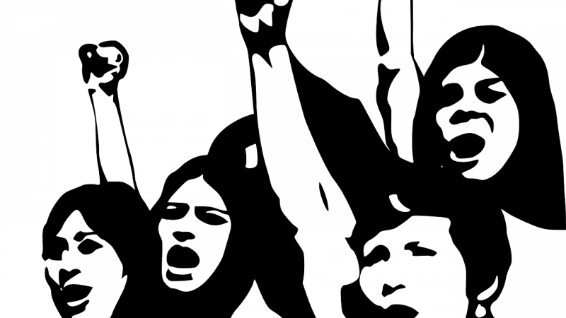 Mujer - Political Parties And Pressure Groups Clipart (800x450), Png Download