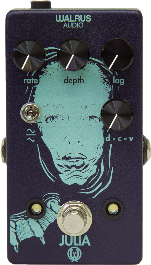 40010 1 - Walrus Julia Clipart (607x1024), Png Download