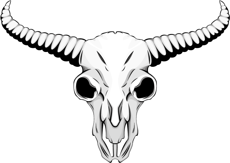 Skull , Png Download - Drawing Of Animal Skulls Clipart (795x561), Png Download