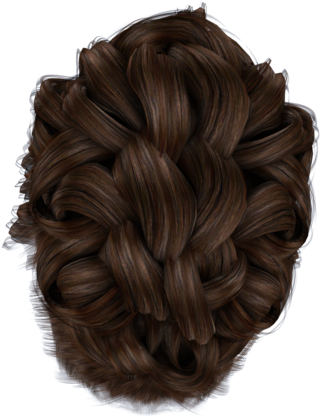 Hair Transparent Bun - Hair Bun Png Clipart (600x521), Png Download