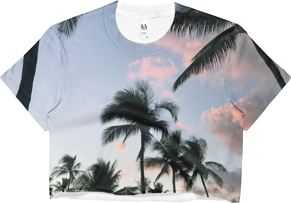 Ladies Crop Top - Desert Palm Clipart (1000x1000), Png Download