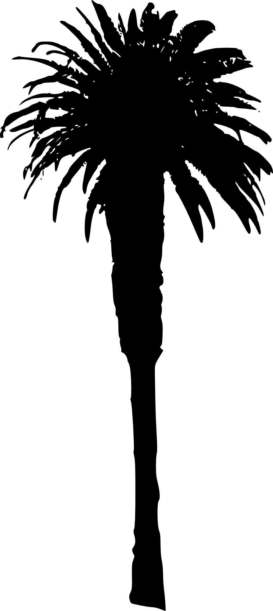 Free Download - Illustration Clipart (895x2000), Png Download