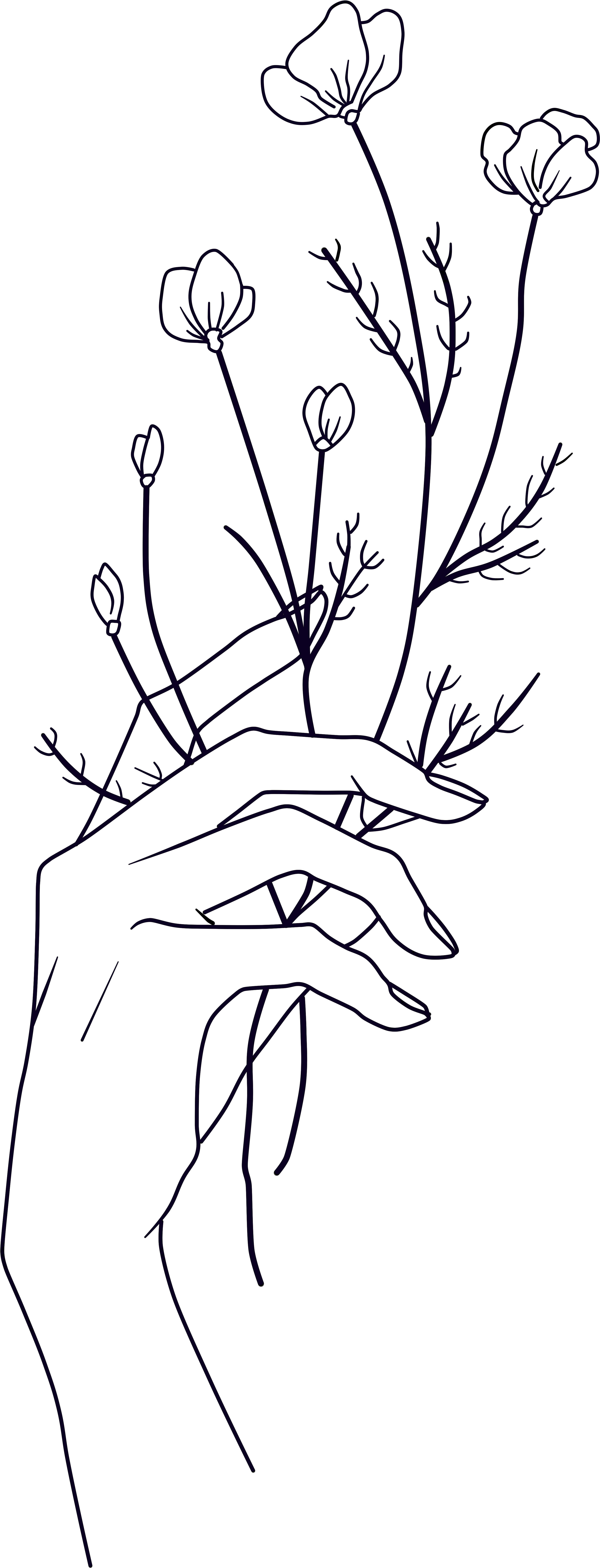Hand Holding A Flower Drawing Clipart (3840x8728), Png Download