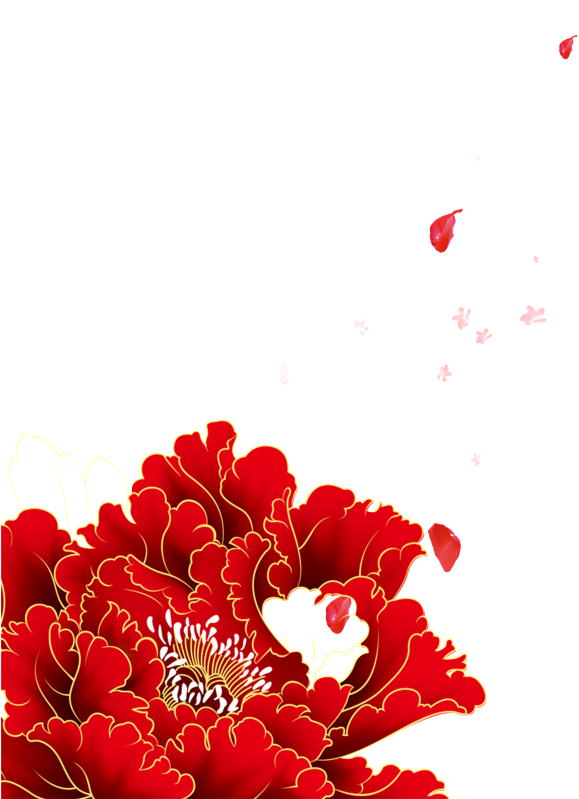 A Peony With A Golden Lace - Transparent Red Flowers Png Clipart (579x799), Png Download