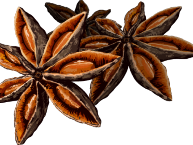 Spice Star Anise Png Clipart (640x480), Png Download