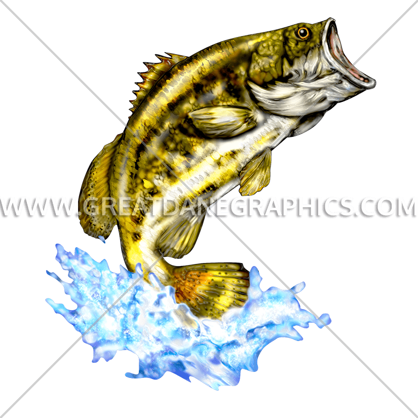Bass Drawing Large - Largemouth Bass Clipart (825x825), Png Download