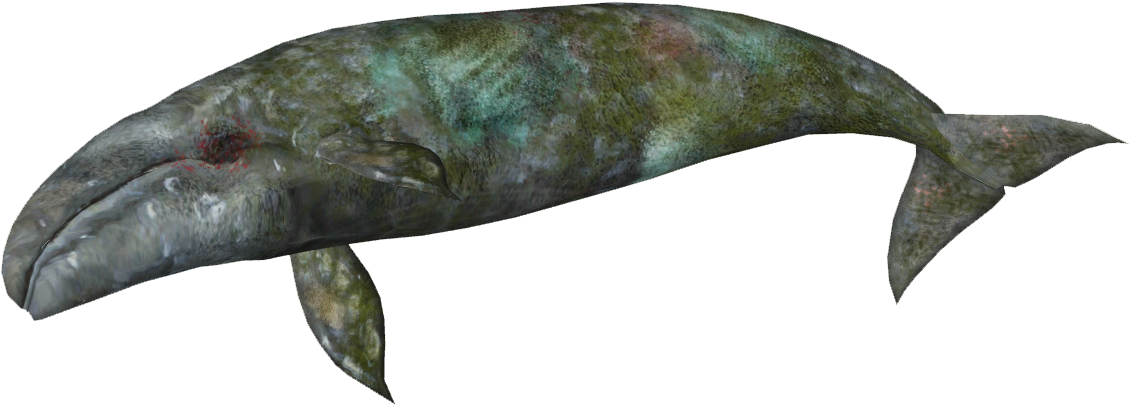 Zt2 Download Library Whales , Png Download - Bowie Knife Clipart (1129x404), Png Download