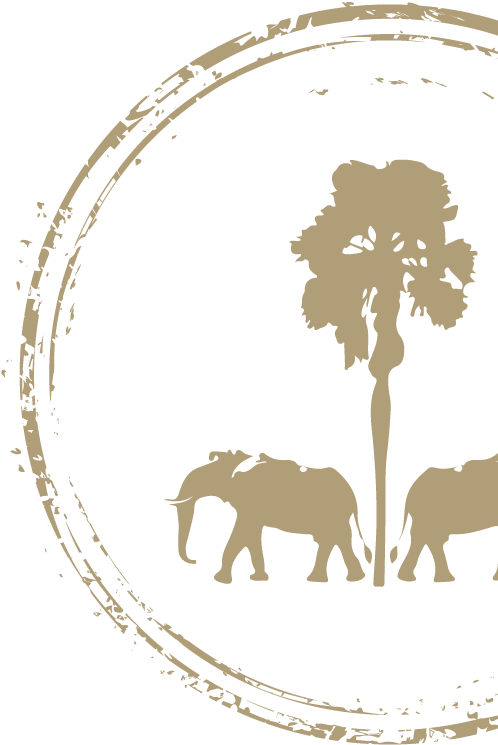 Read More - Silhouette Clipart (500x757), Png Download