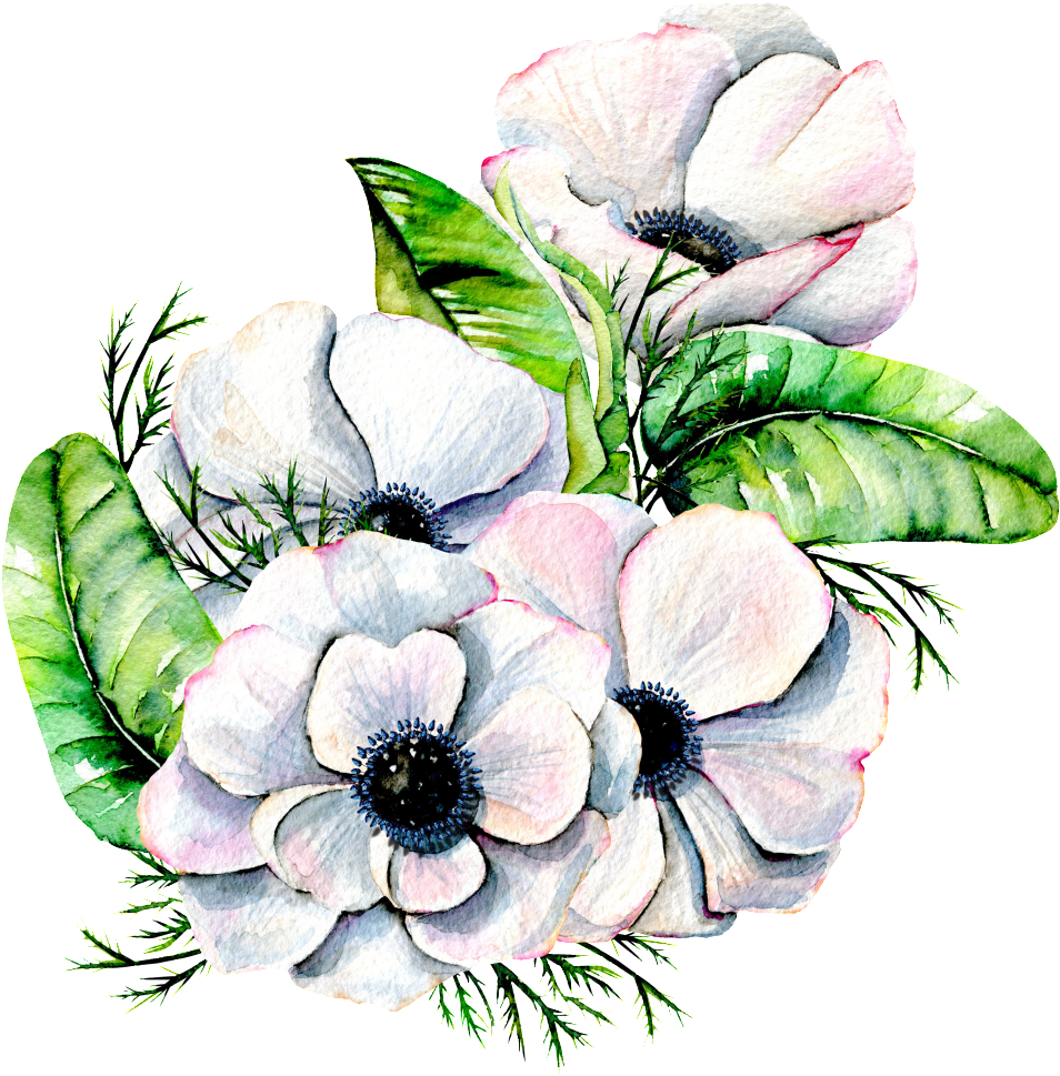Hand Painted Elegant White Flower Png Transparent - Watercolor White Flowers Png Clipart (954x969), Png Download