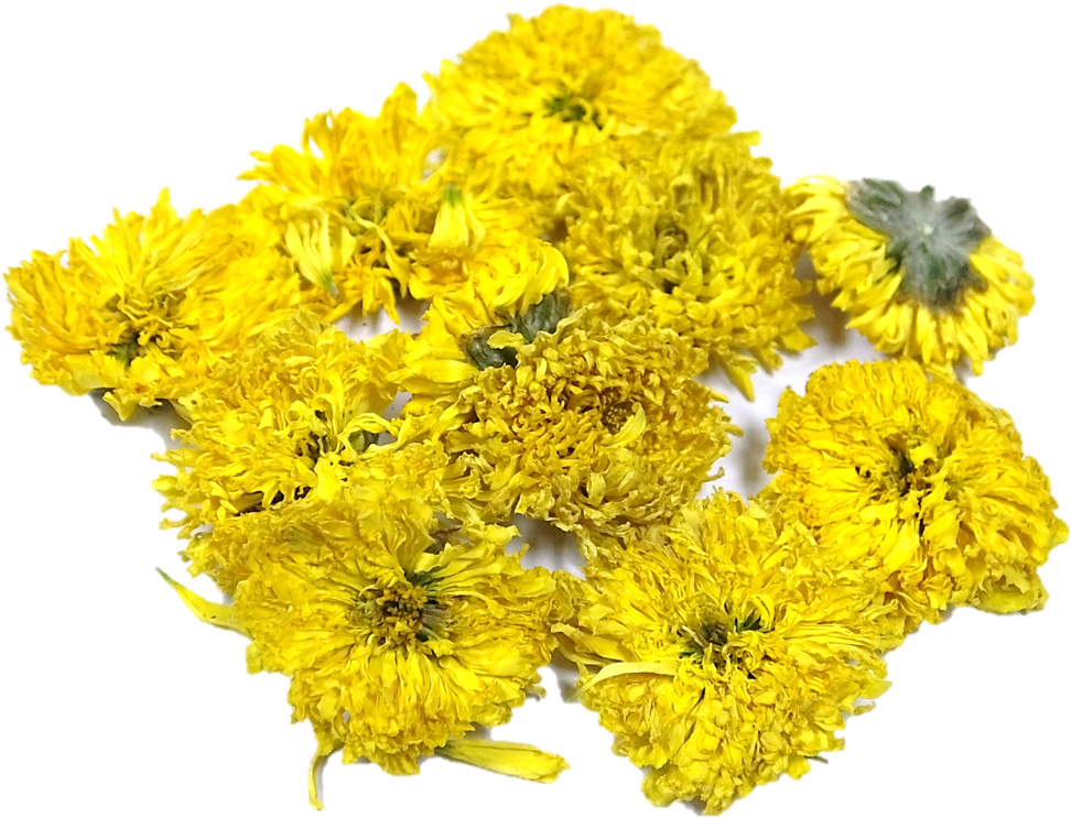 Popular - Coltsfoot Clipart (1012x759), Png Download