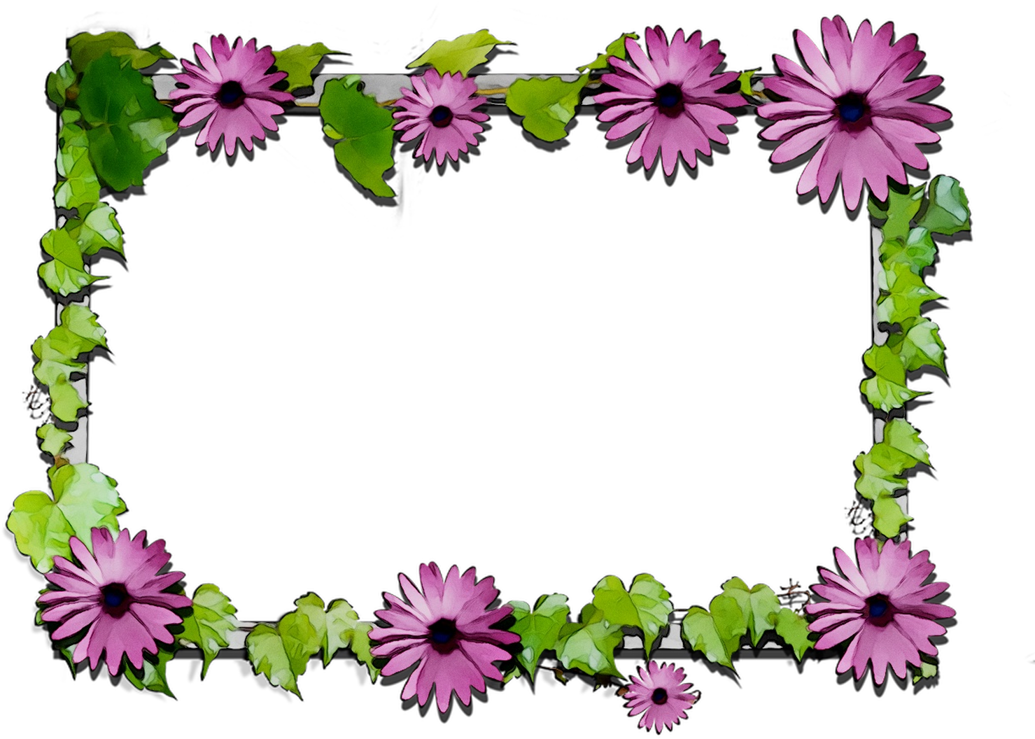 Floral Chrysanthemum Flowers Cut Design Png Download - African Daisy Clipart (1541x1089), Png Download