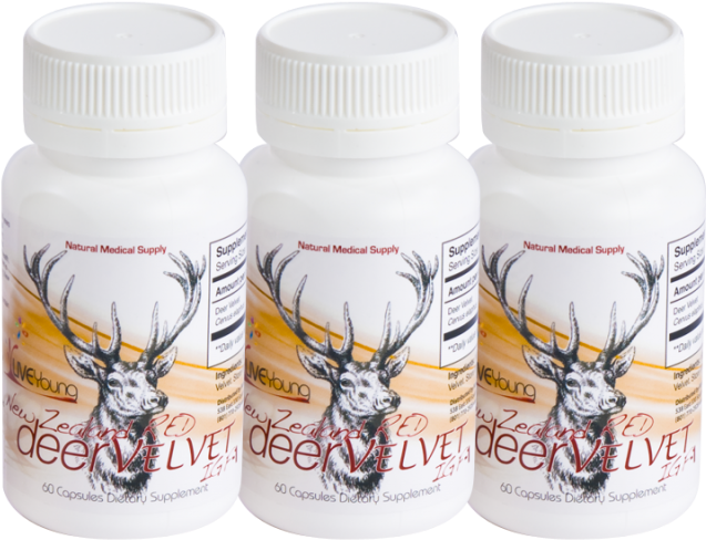 Image - Graphic Ornaments Clipart (1280x533), Png Download