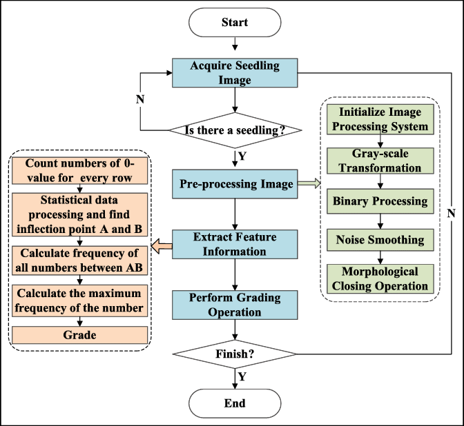 Flow Chart Of Seedling Grading Procedure - Flow Chart For Grading ...