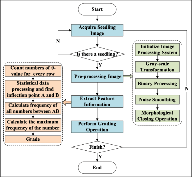 Flow Chart Of Seedling Grading Procedure - Flow Chart For Grading System Clipart (672x618), Png Download