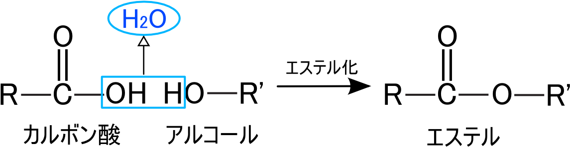 エステル 結合 Clipart (1200x400), Png Download