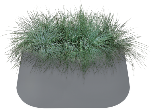 Home > Collection > Pure Cone Long - Grass Clipart (750x750), Png Download