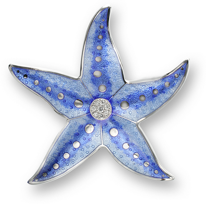 Stock - Starfish Clipart (800x800), Png Download