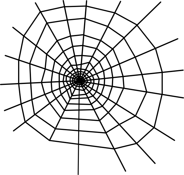 Realistic Spider Web Png - 1st Grade Charlotte's Web Activities Clipart (600x571), Png Download