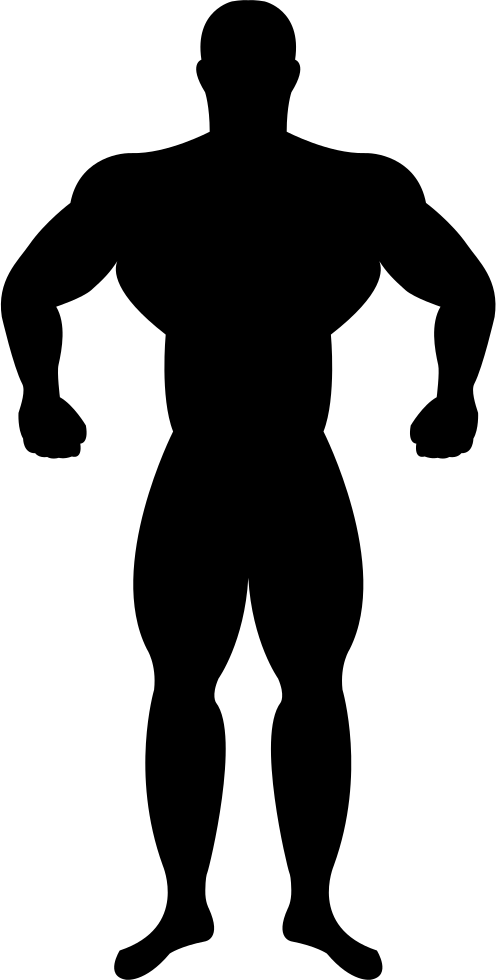 Muscular Silhouette Png - Muscle Man Vector Png Clipart (496x980), Png Download
