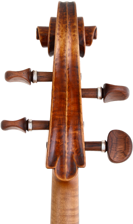 Viola Clipart (1600x475), Png Download