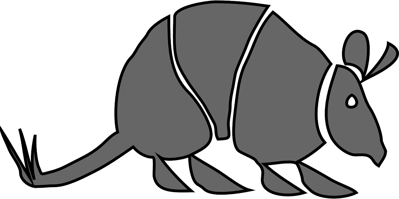 Armadillo Nocturnal Mamal Png Image - Dead Armadillo Clip Art Transparent Png (1280x640), Png Download