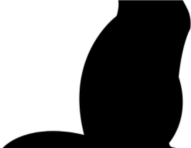 Shadows Clipart Cat - Silhouette - Png Download (640x480), Png Download