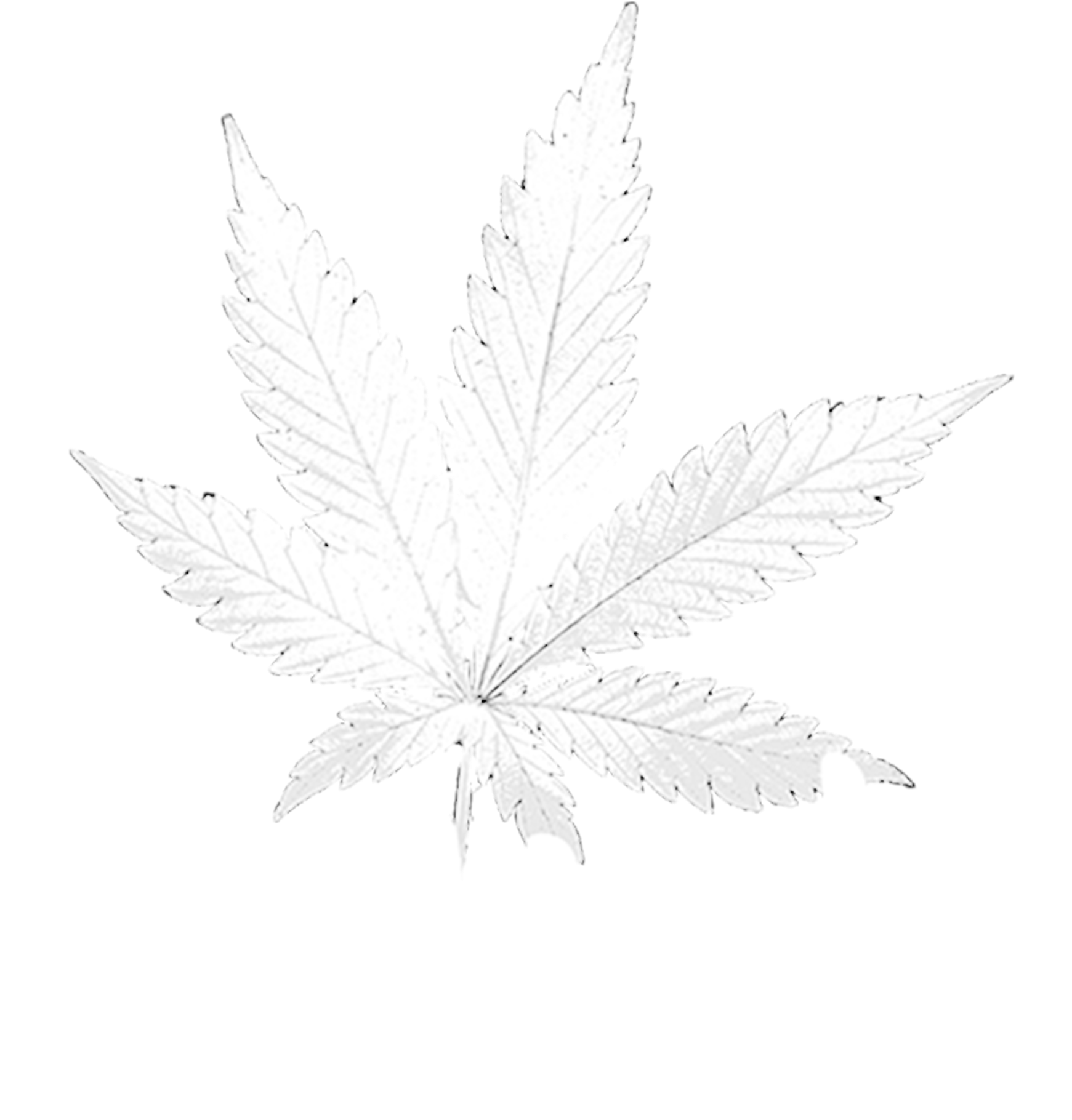 Mlg Thomas The Dank Engine - Cannabis Clipart (1800x1825), Png Download