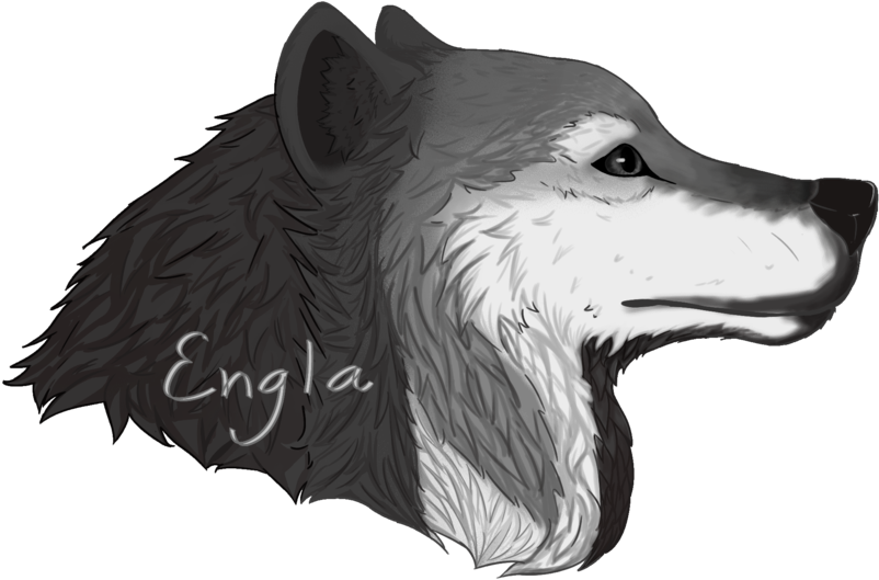 Drawn Werewolf Wolf's Head - Wolf Head Drawing Png Clipart (1024x740), Png Download