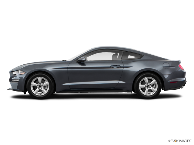 2018 Ford Mustang Ecoboost Fastback - Black 2017 Ford Fusion Clipart (640x480), Png Download
