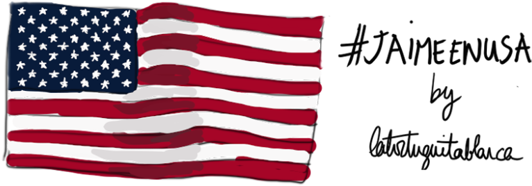 Flag Of The United States Clipart (1024x386), Png Download