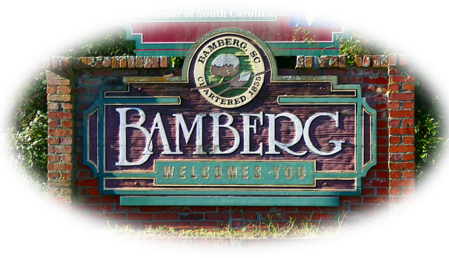 Bamberg Is Bamberg County's Hub Of Government, Public - Tree Clipart (900x517), Png Download