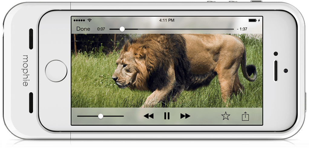 Shoot Photos And Video Directly To Space Pack With - Masai Lion Clipart (1020x500), Png Download