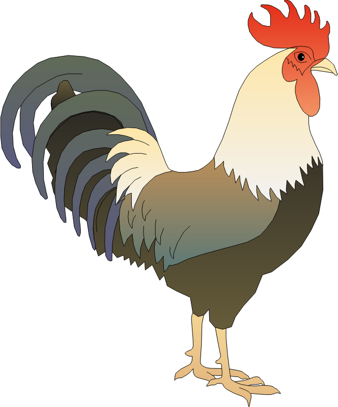 Rooster - Gambar Ayam Jago Kartun Clipart (664x800), Png Download