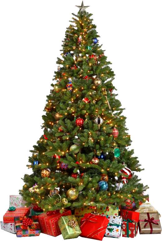 Christmas Tree Png - Decorated Christmas Tree Png Clipart (521x773), Png Download