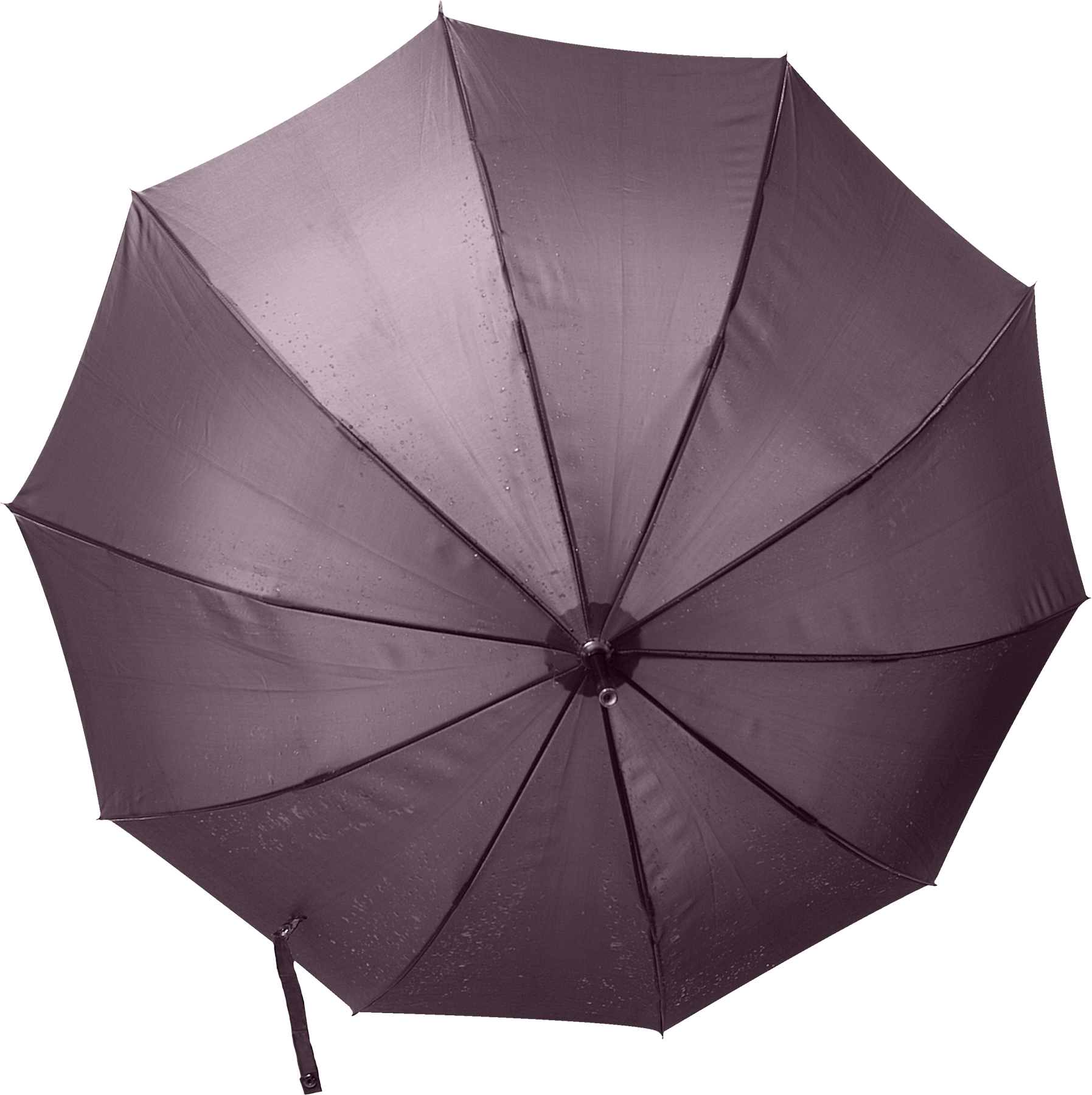 Umbrella Png - Umbrella Clipart (1795x1800), Png Download