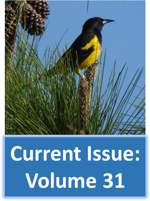 Editor In Chief - Boat Tailed Grackle Clipart (523x686), Png Download