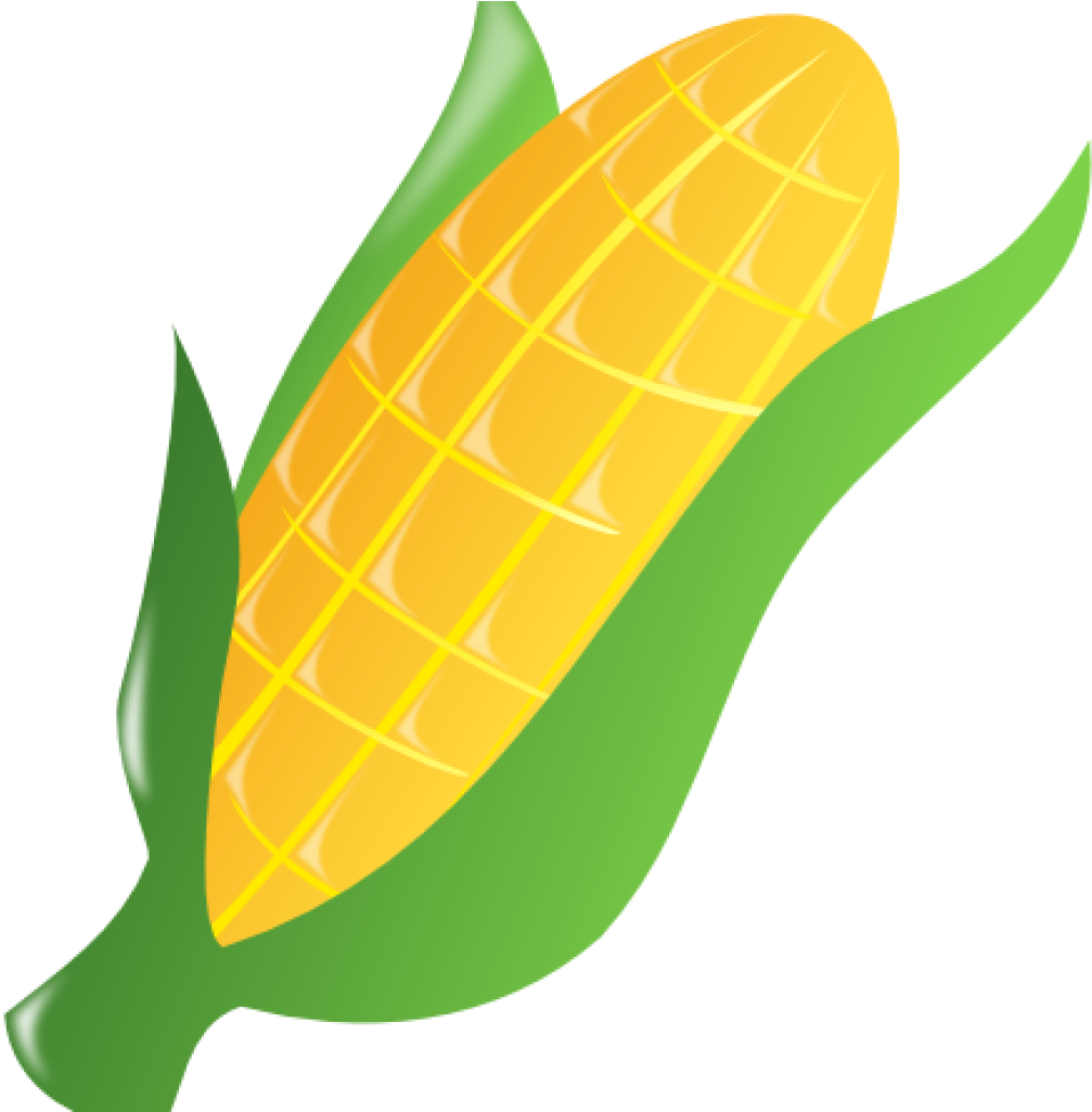 Corn Clipart Clip Art - Corn Clipart Transparent Background - Png Download (1007x1025), Png Download