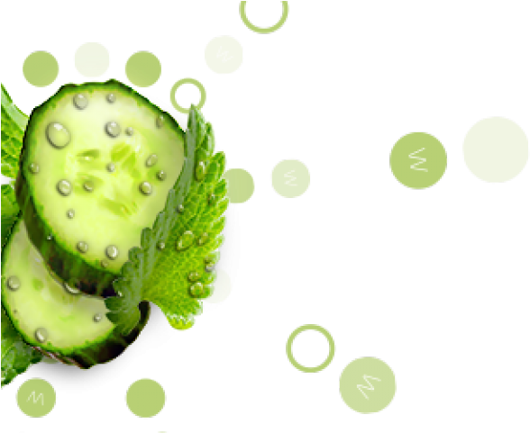 Soursop Clipart (640x480), Png Download