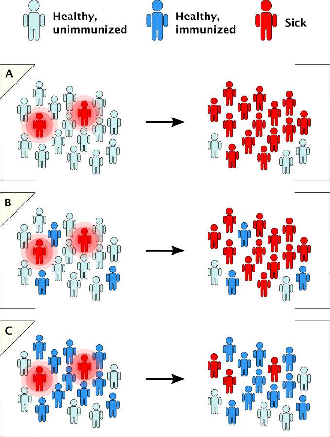 When No One In A Population Is Vaccinated, Infections - Vaccination Herd Immunity Clipart (679x900), Png Download