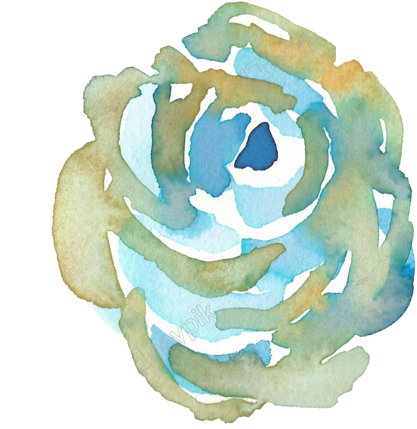 Transparent Watercolors Transparent Background - Garden Roses Clipart (1024x1024), Png Download