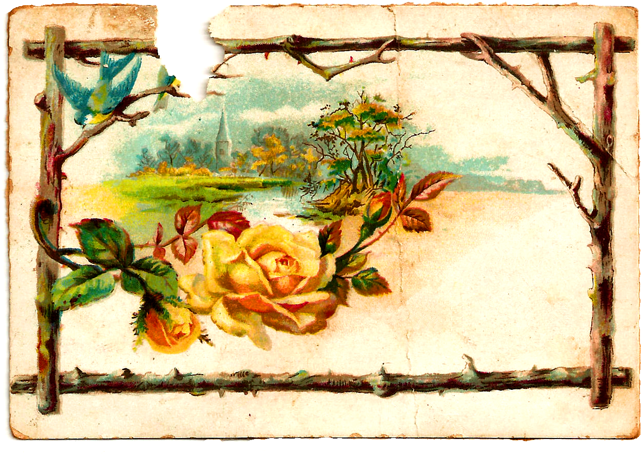 Digital Flower Image - Garden Roses Clipart (1333x949), Png Download