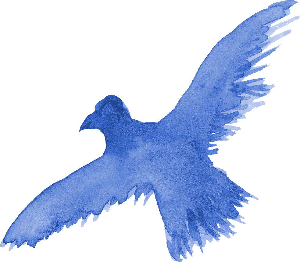 Free Download - Pigeons And Doves Clipart (984x860), Png Download