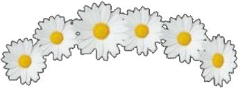 Flower Crown Overlay - Circle Clipart (612x612), Png Download