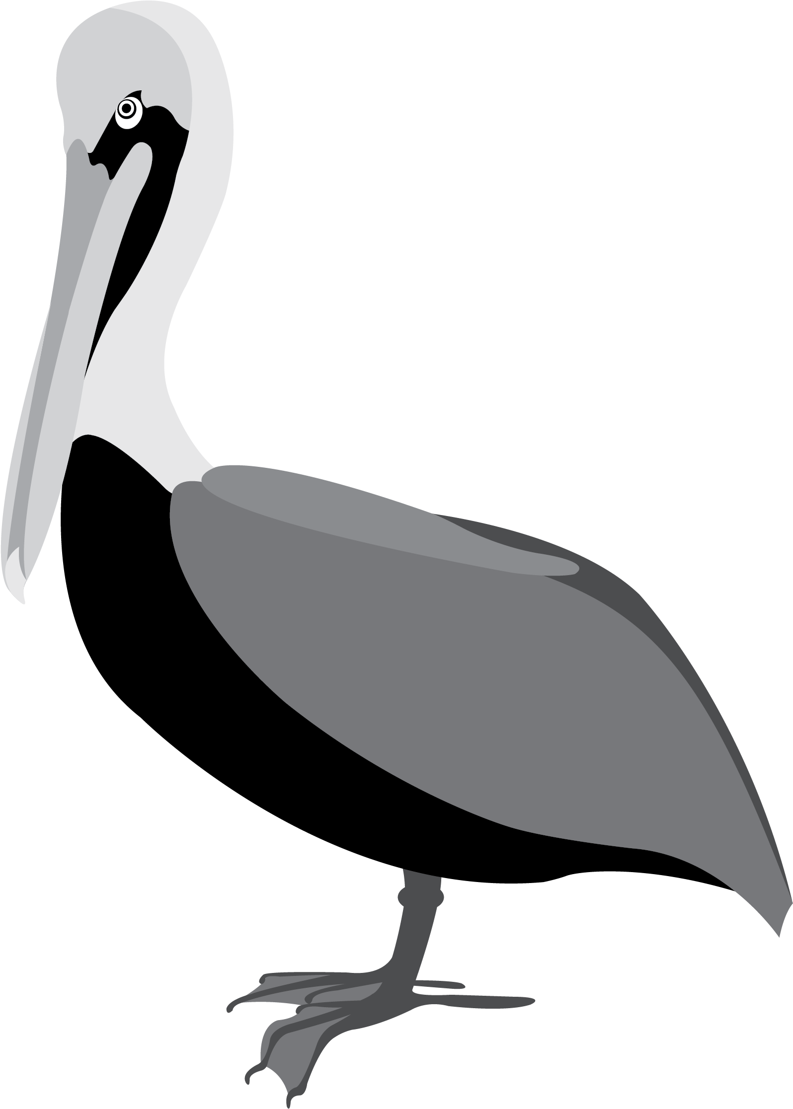 Graphic Royalty Free Library Pelican Vector Tribal - Pelican Png Vector Clipart (2178x2466), Png Download