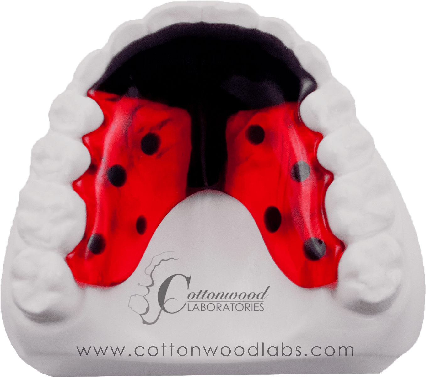 Birthday Cake Clipart (2254x1352), Png Download